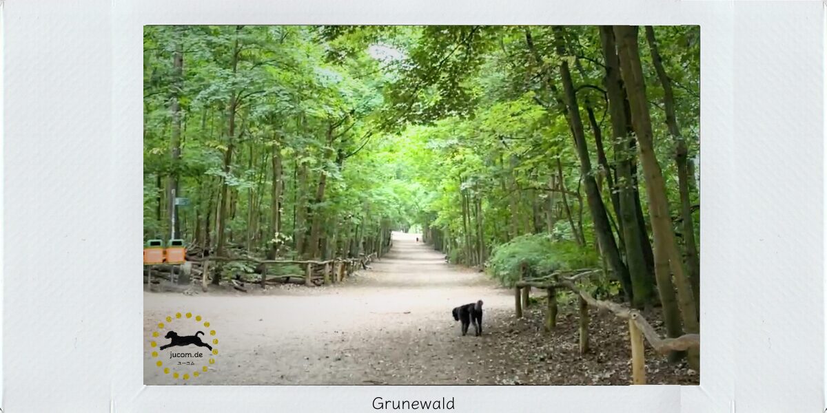 Grunewald